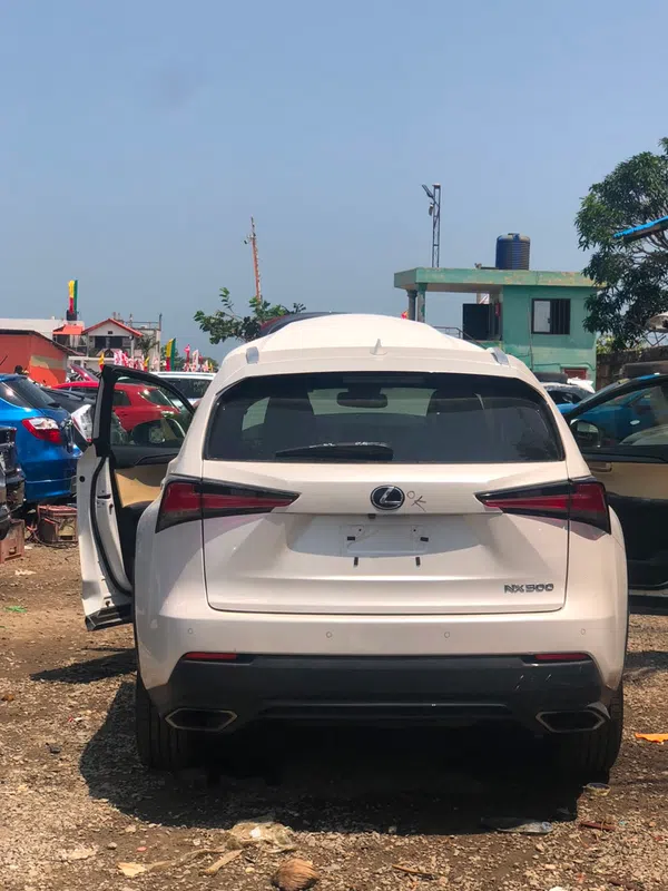 2019 Lexus Nx 300 – photos, prix et caractéristiques
