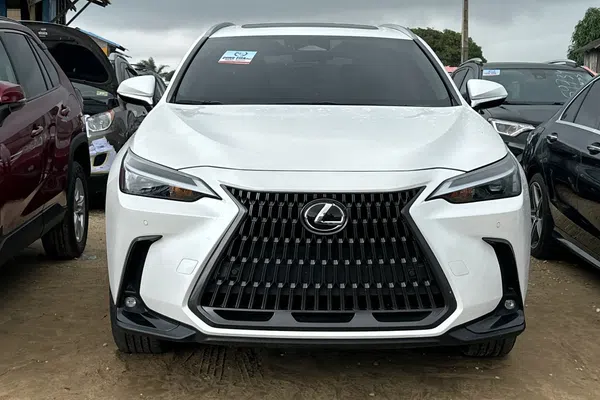 2024 Lexus Nx – photos, prix et caractéristiques