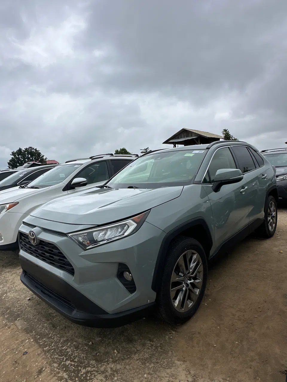 2019 Toyota Rav4 limted — photo 3