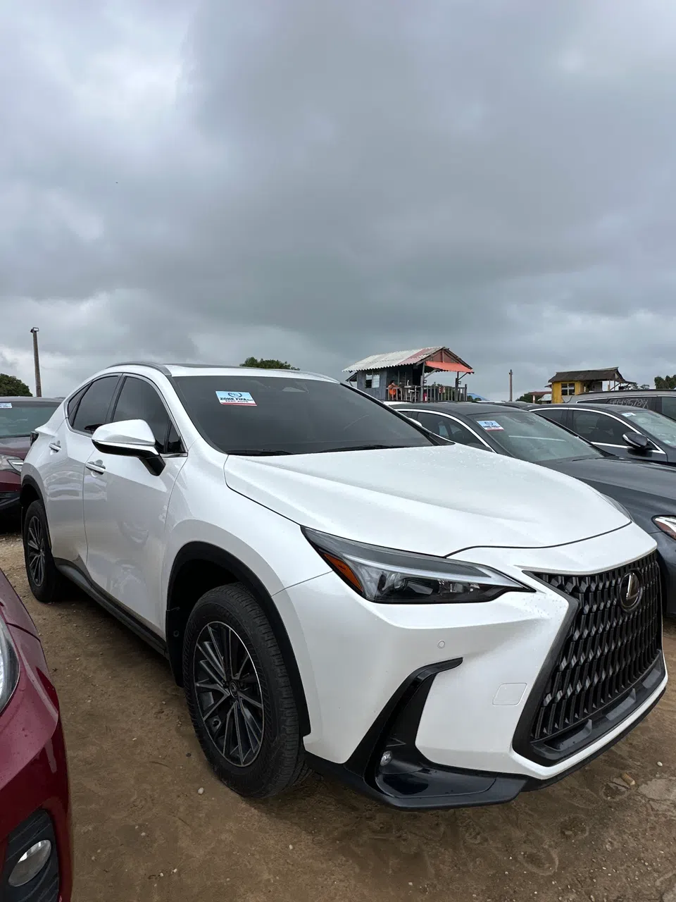 2024 Lexus Nx — photo 2