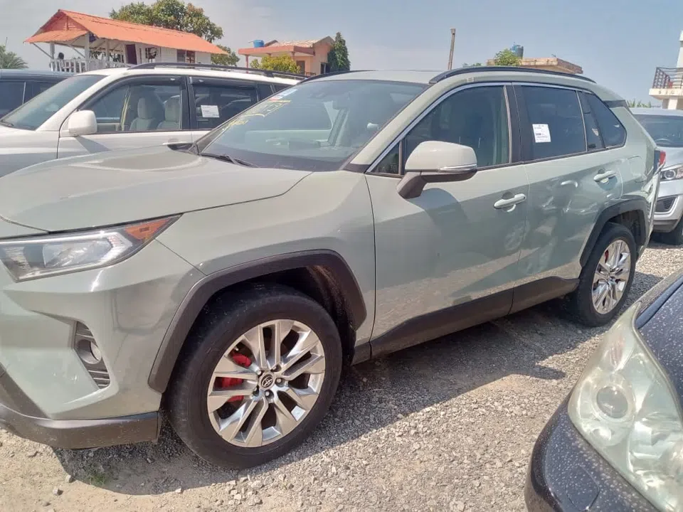 2019 Toyota Rav4 — photo 2