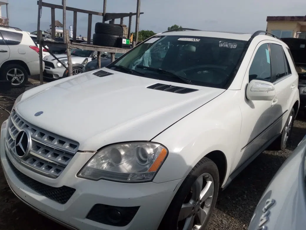 2010 Mercedes-Benz M-Class — photo 1