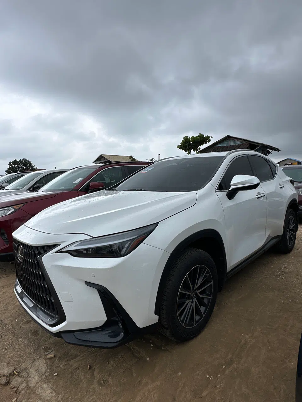 2024 Lexus Nx — photo 3
